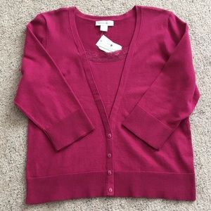 Christopher & Banks Pink Sweater with Lace Neckline Trim Size Large